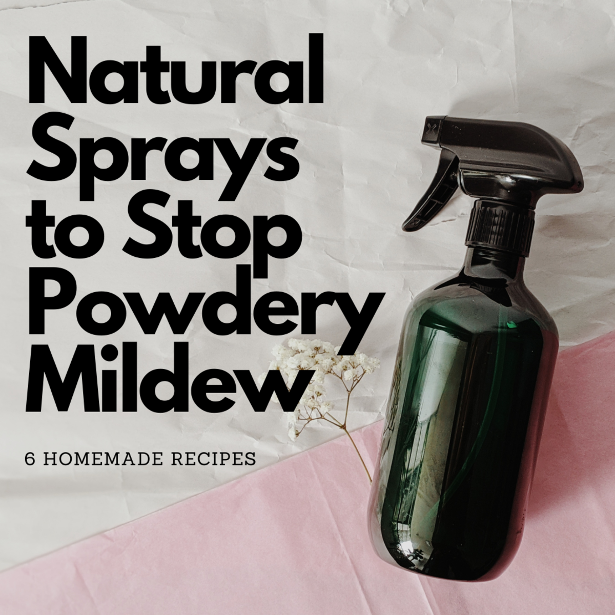 How to Get Rid of Powdery Mildew Safely and Naturally