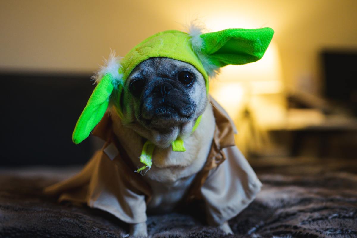 Baby Yoda, is that you?