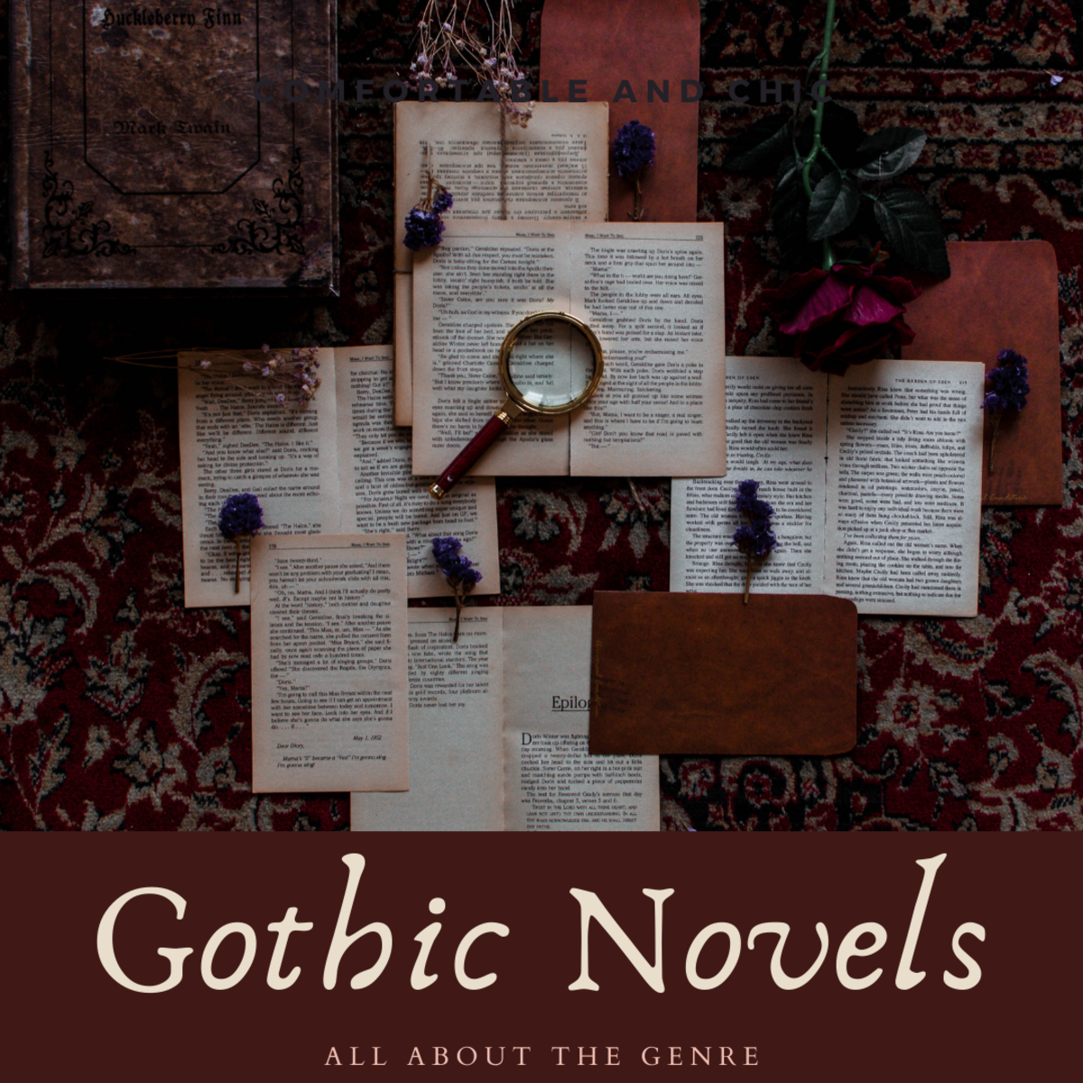Learn what the gothic novel is about and find examples of the genre.