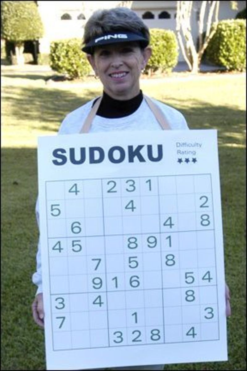 Math Puzzle Costume Idea - Sudoku is just what you need.  