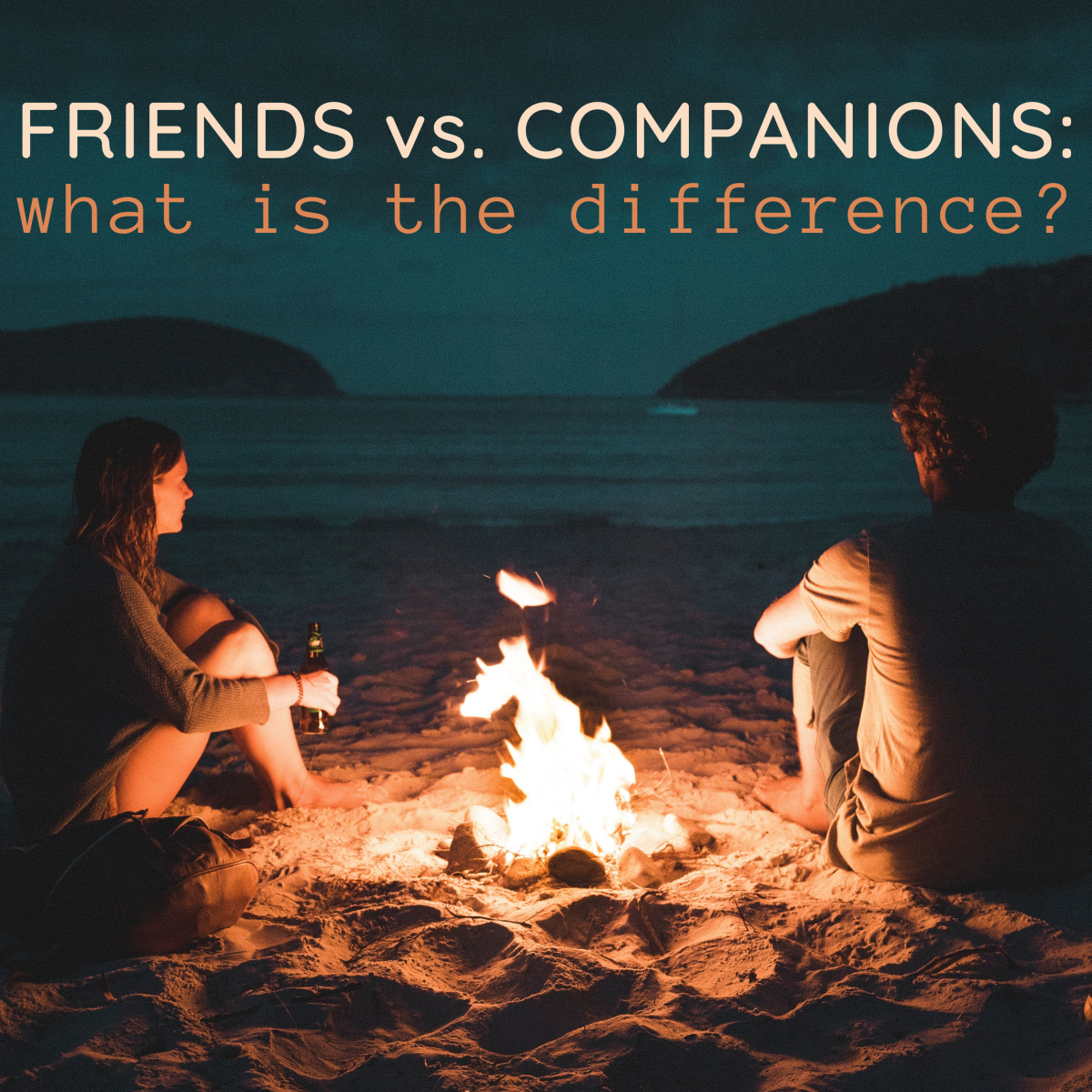 The Difference Between a Friend and a Companion