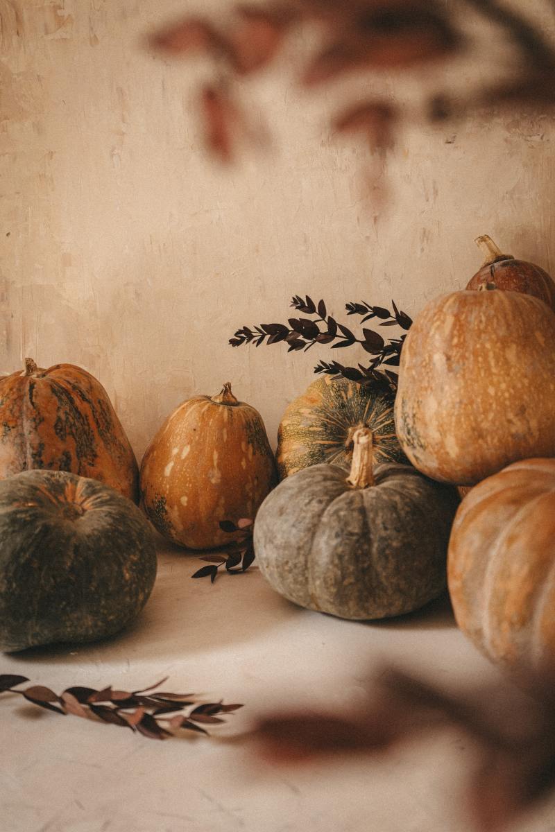 Samhain—the most misunderstood sabbat—is the Wiccan harvest season.