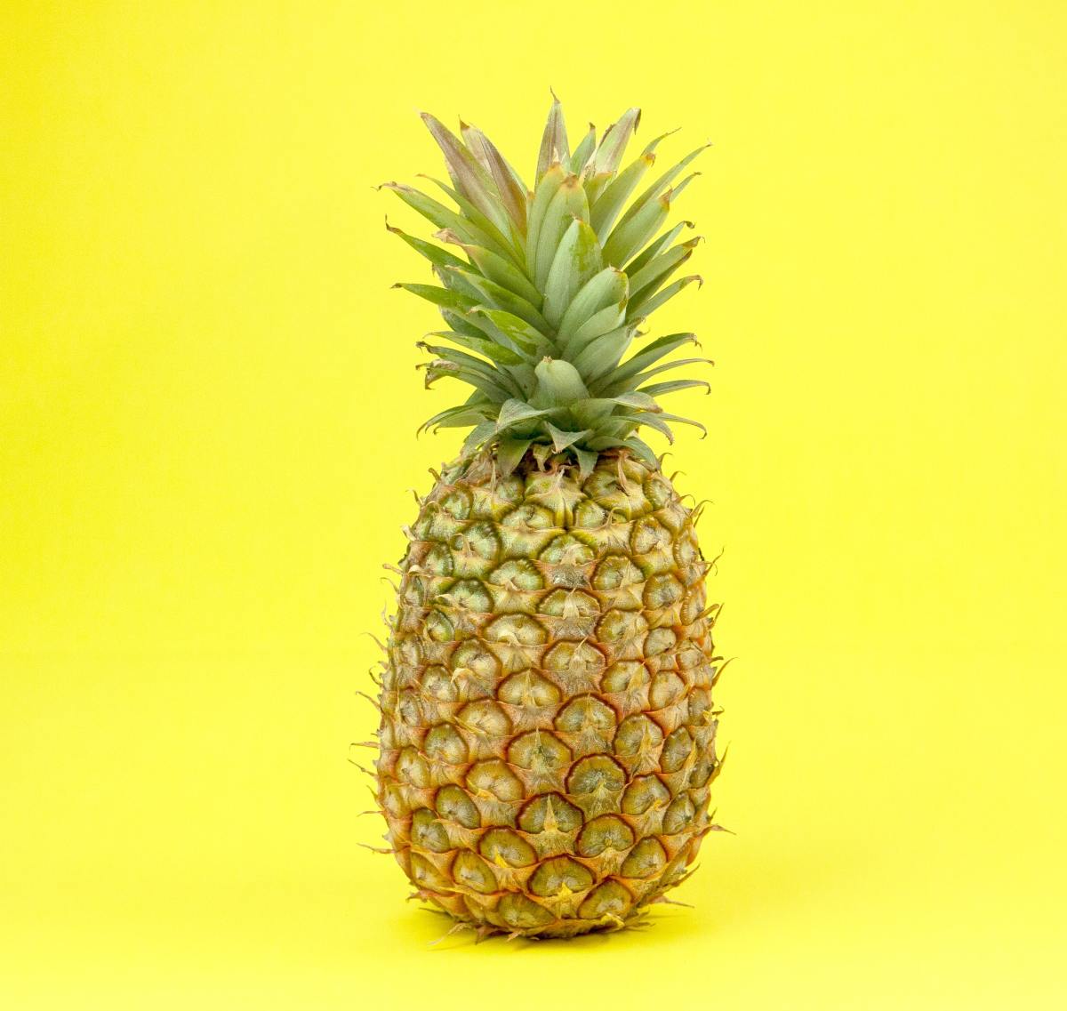 Pineapple Delight Dessert: A Slice of Tropical Heaven