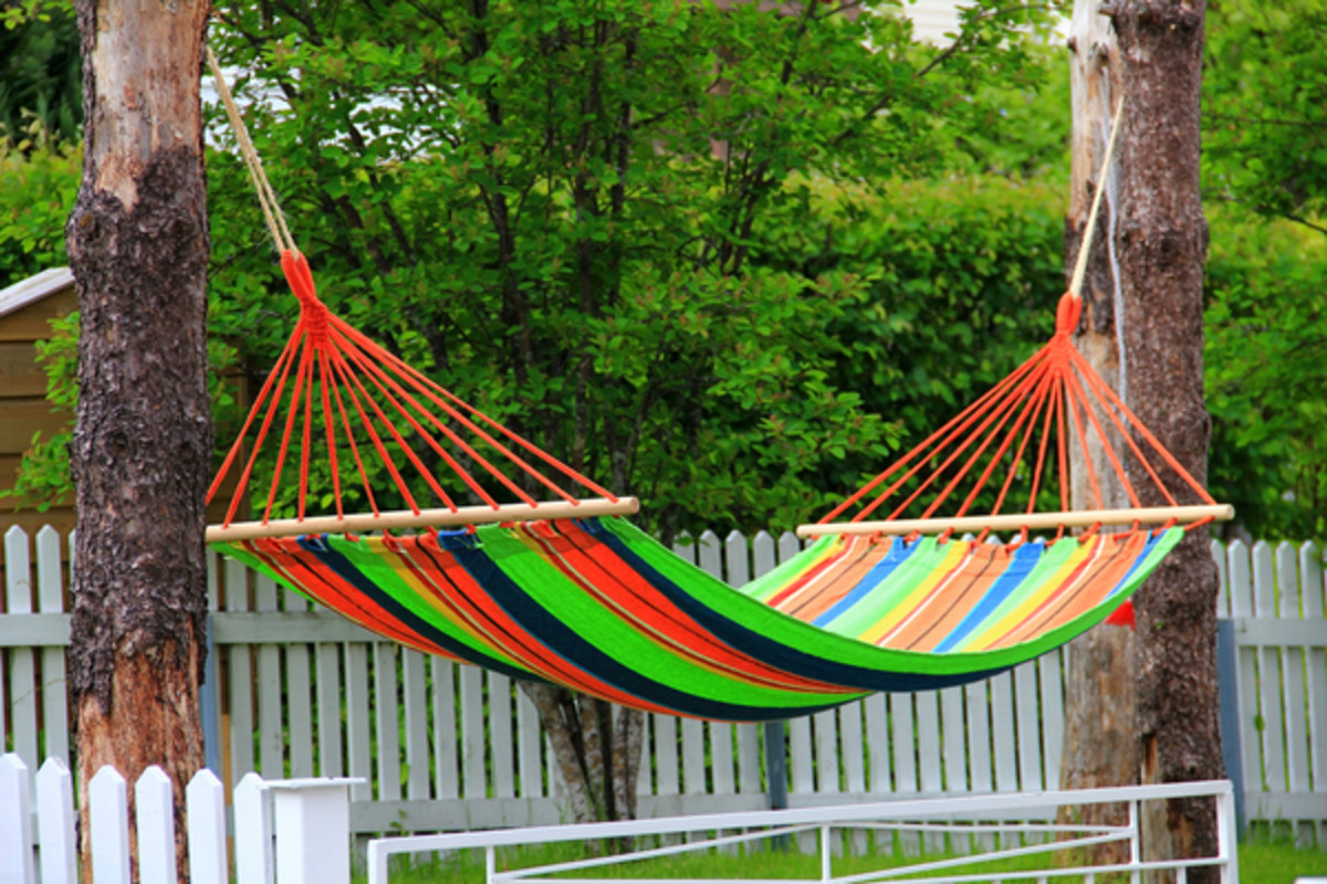 the-must-have-backyard-essentials-for-every-house