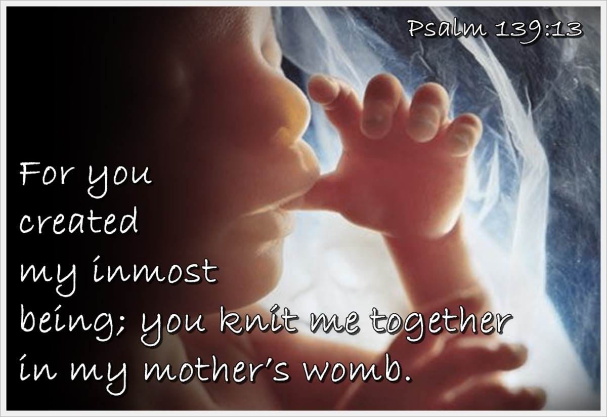 You Created My Inmost Being; You Knit Me Together in My Mother's Womb