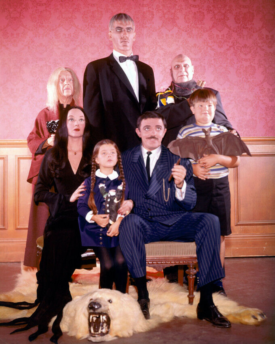 The Addams Family Adult Wednesday Costume