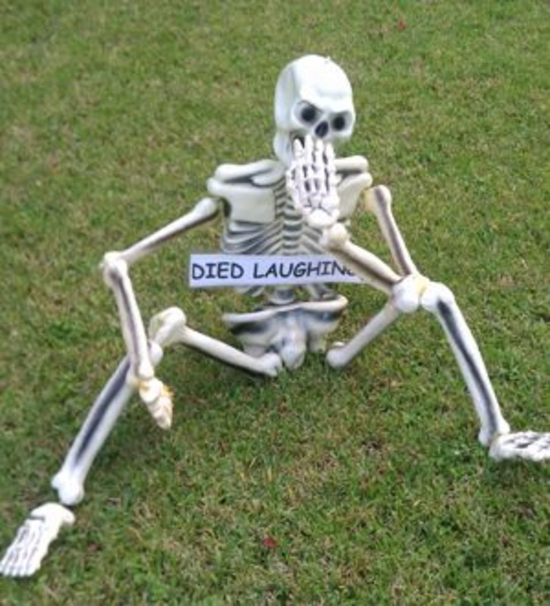 Add a "Died Laughing" sign and give your skeleton a funny pose for a simple but effective decoration.