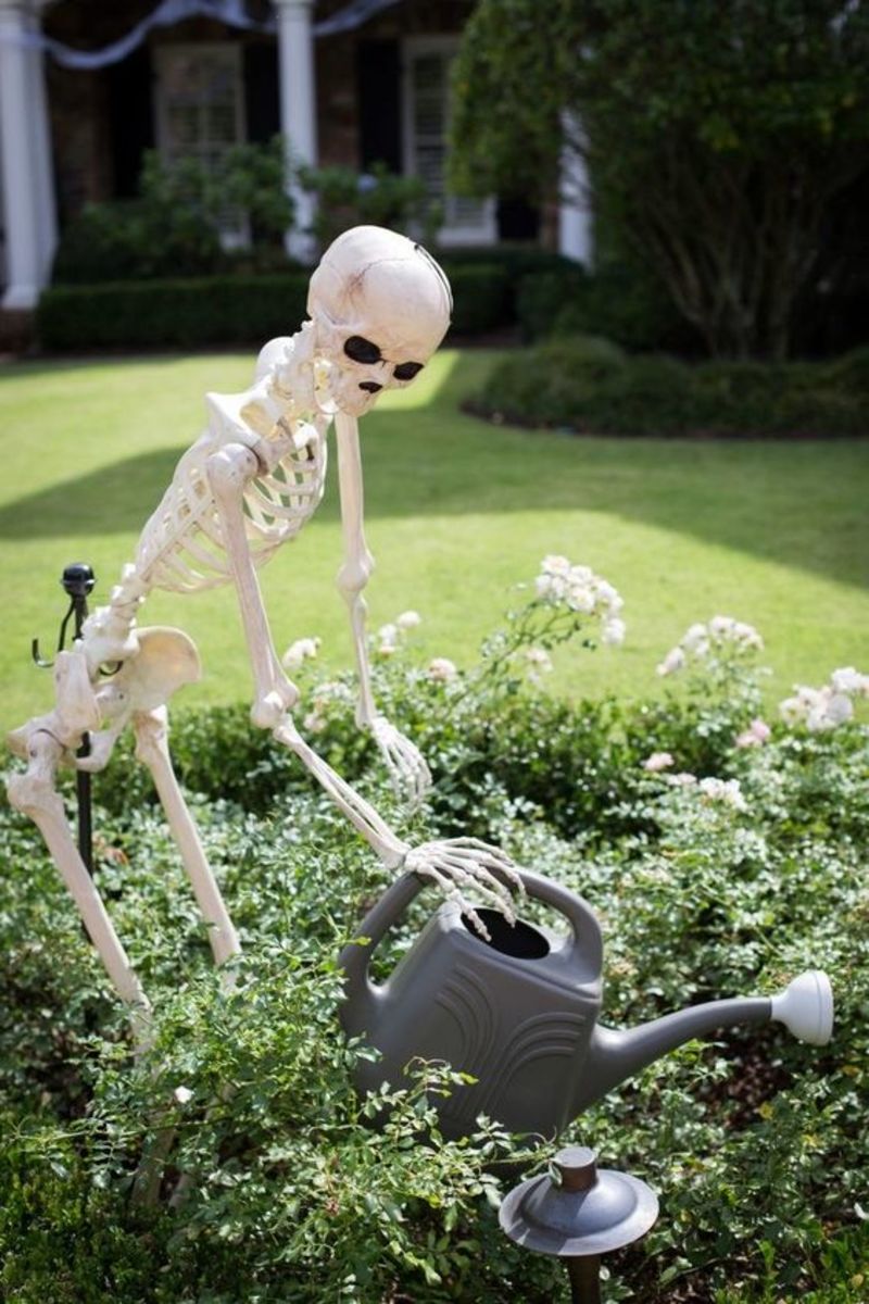 Displays that feature skeletons doing everyday tasks are pretty hilarious, like this helpful gardening skeleton.