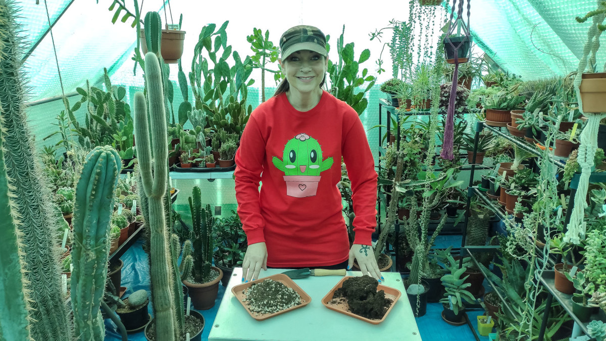 How Cacti and Succulent Soil Is Different From Ordinary Potting Soil
