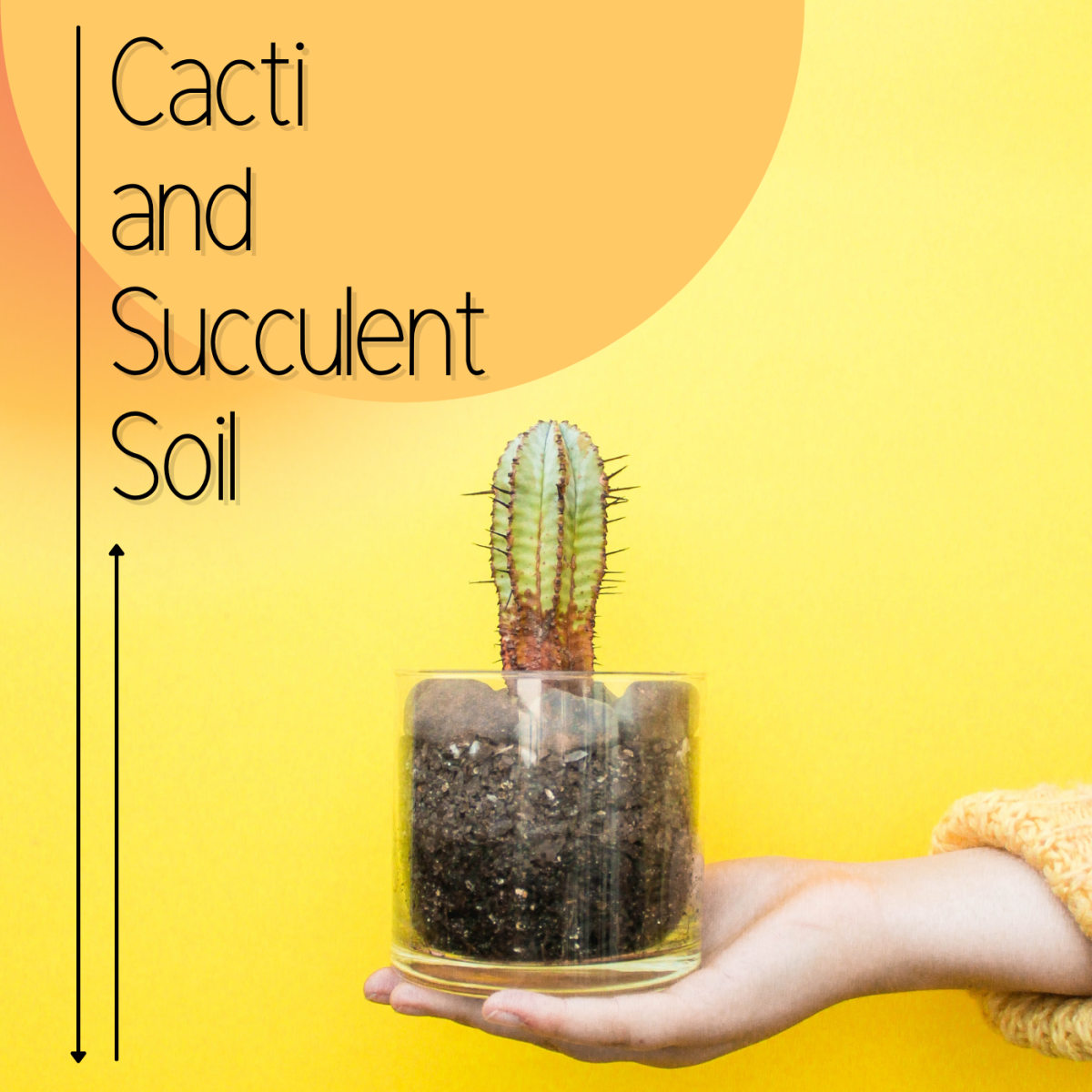 Potting Soil For Cacti