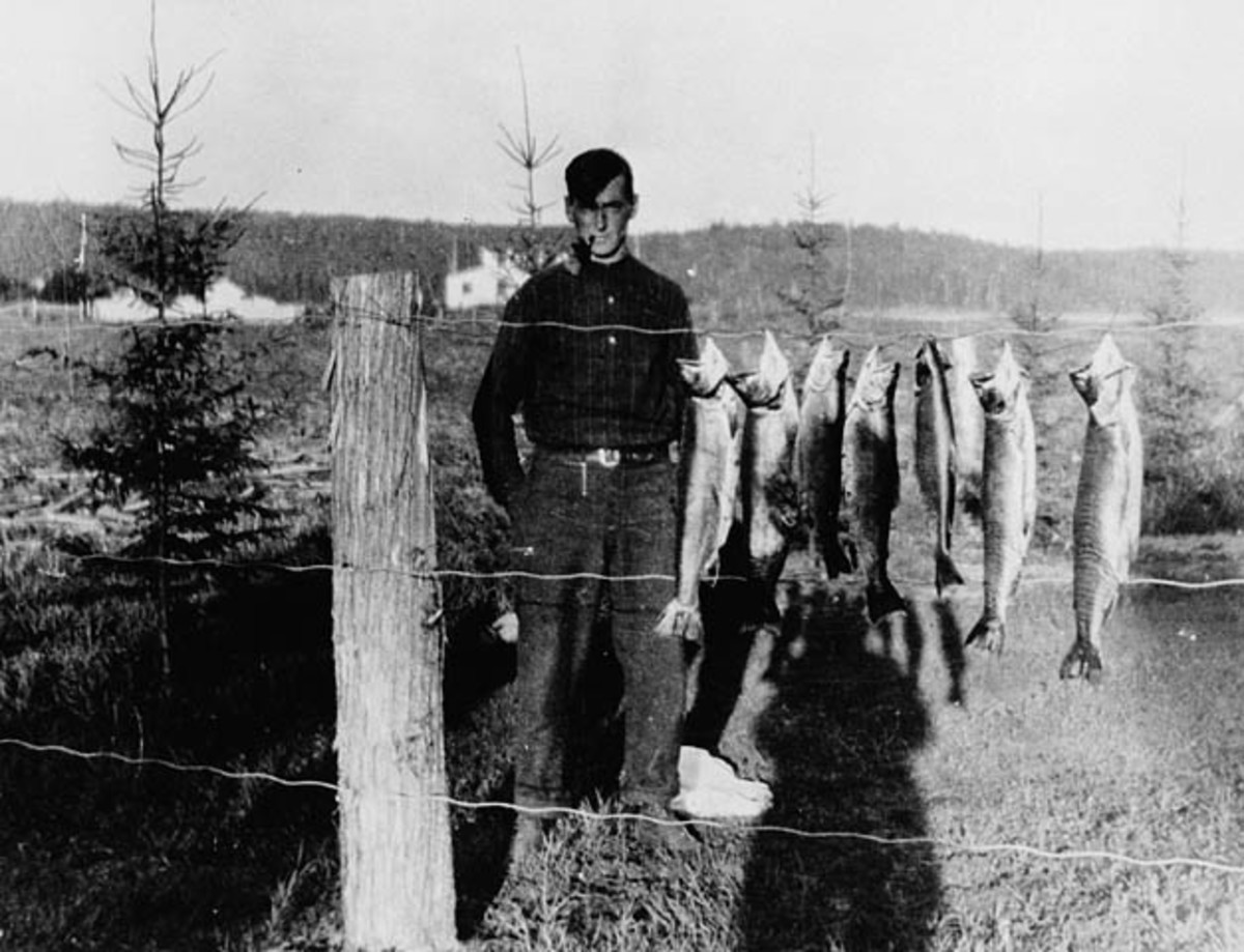 The Mystery of Tom Thomson's Death The CrimeWire