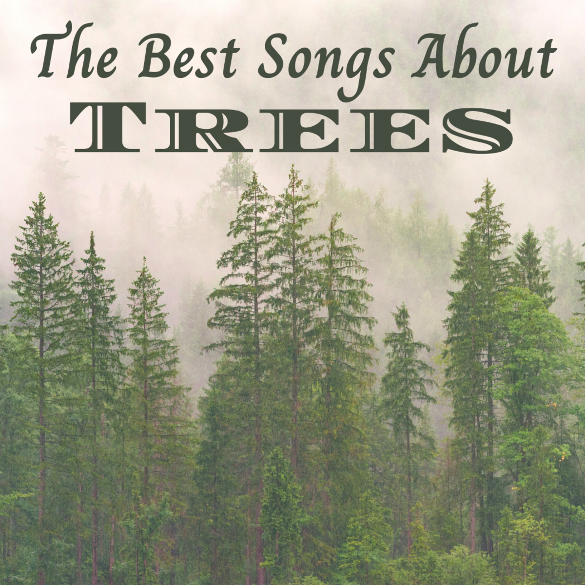 Trees make the world a better place. Here, you'll discover all the best songs about them!