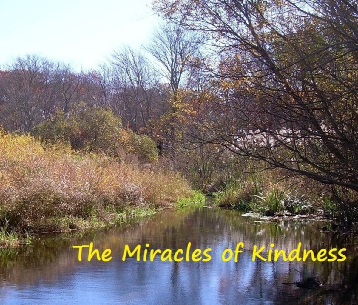 The Miracles of Kindness