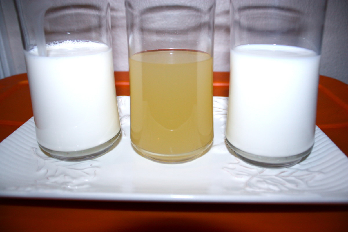 Disneyland's Corn Chowder With Chicken Delishably