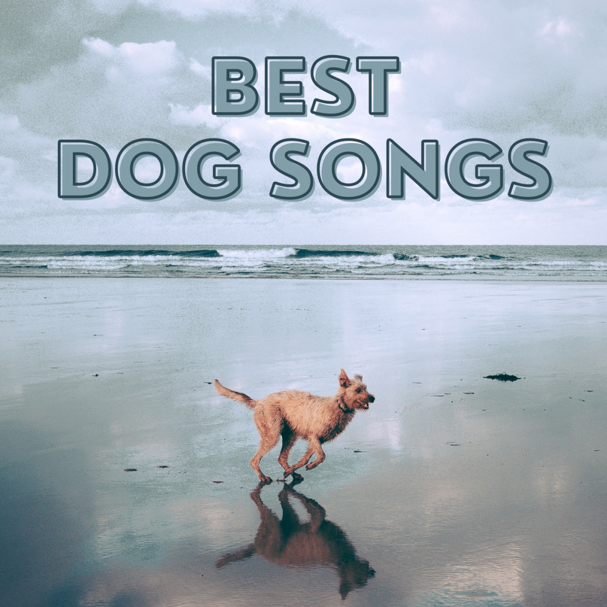Check out my top six songs for celebrating our canine companions.