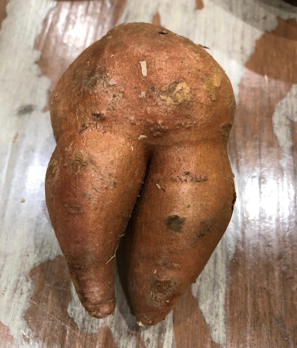I grew sweet potatoes during the summer of 2020. When we harvested them that fall, we found this comical one. It gave us a good laugh.