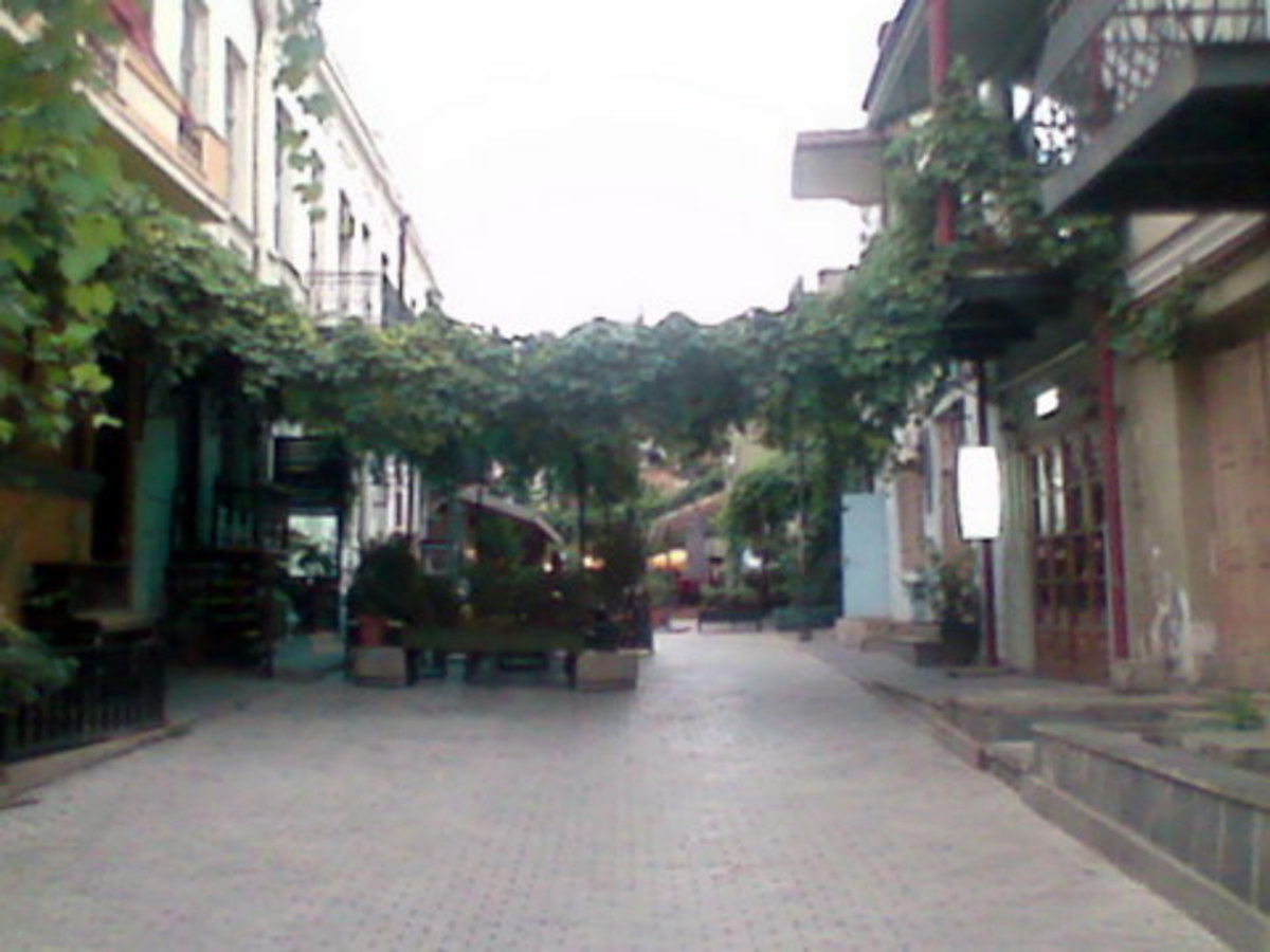 hanging vines, evening in tbilisi town centre