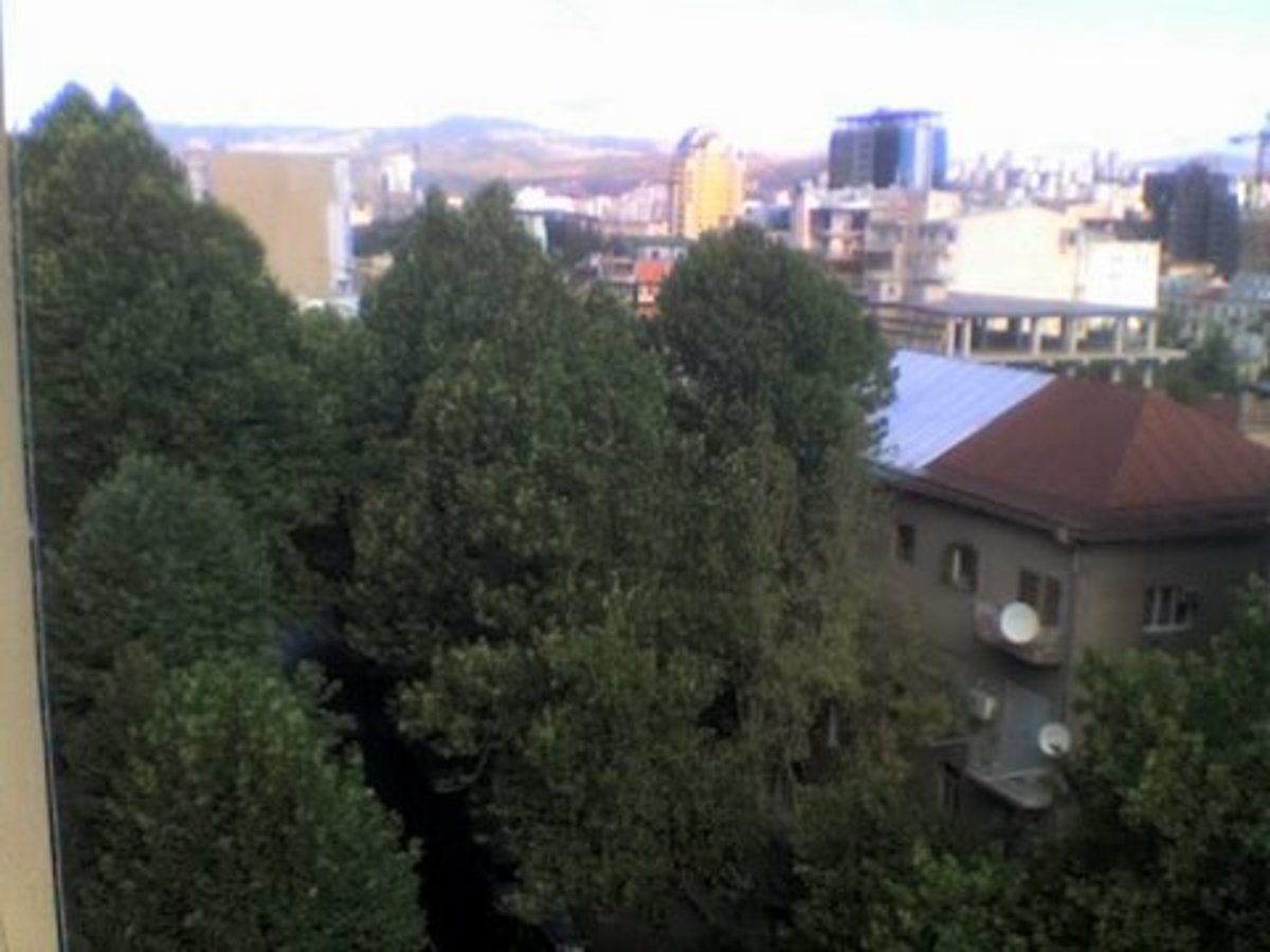more trees in the middle of tbilisi, distant mountains