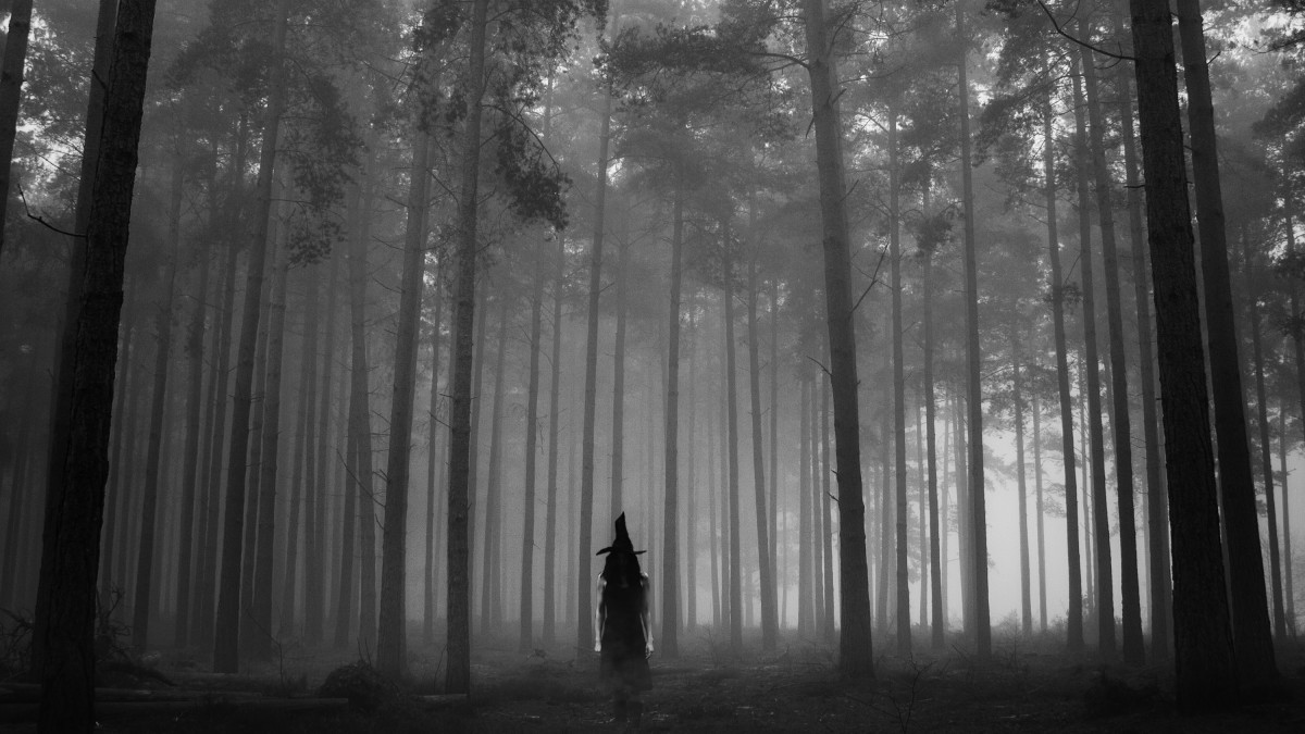 The Bell Witch Haunted Tennessee HubPages