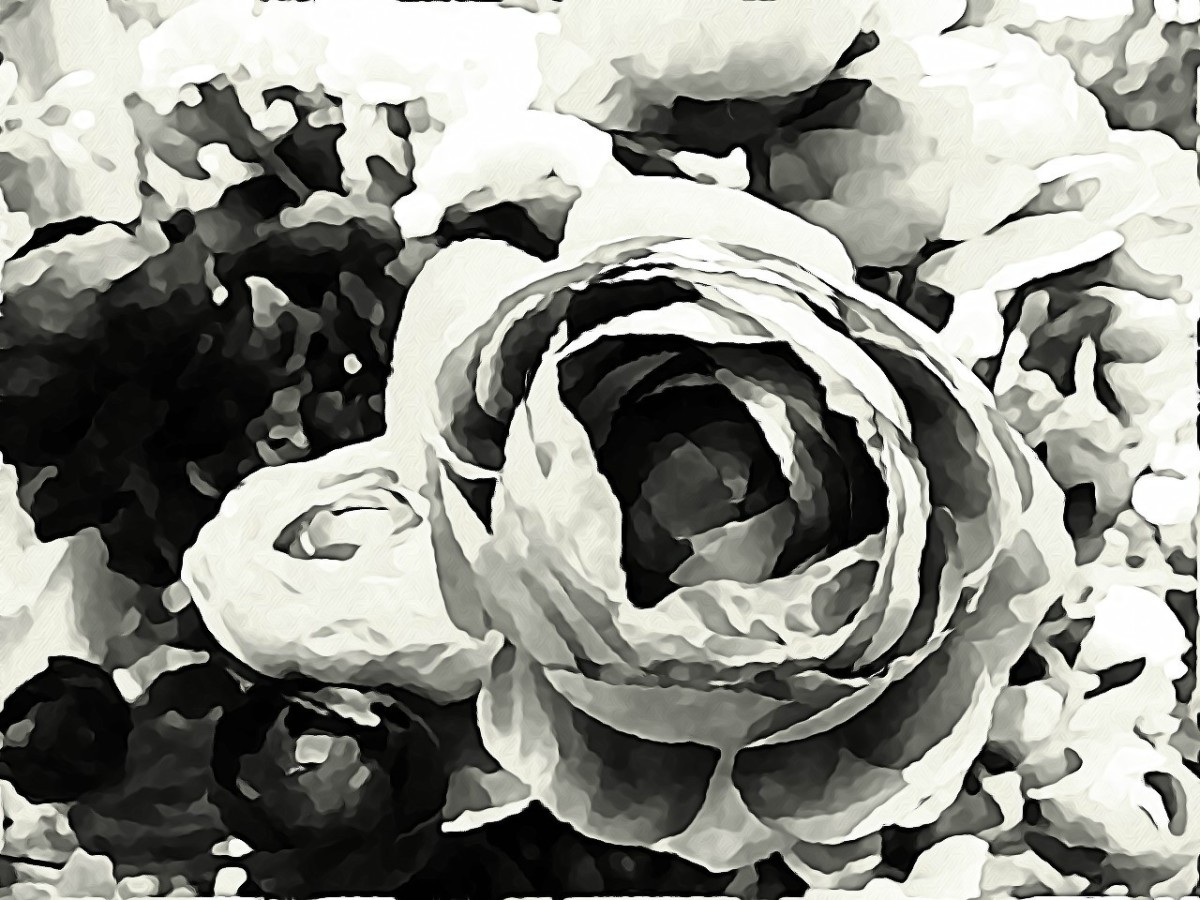 PHOTO6 : Using BeFunky Black&White1 & UnderPainting2 & Watercolor