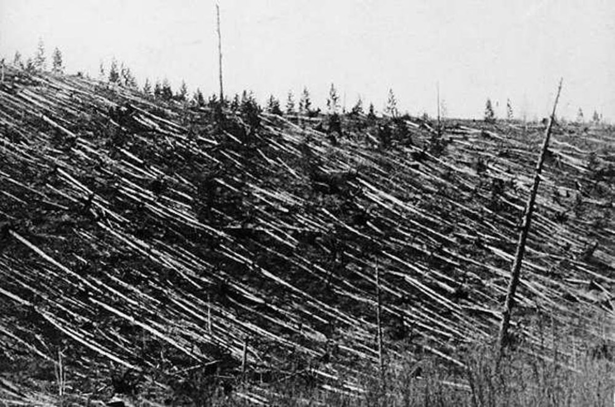 The remnants of the Tunguska event.