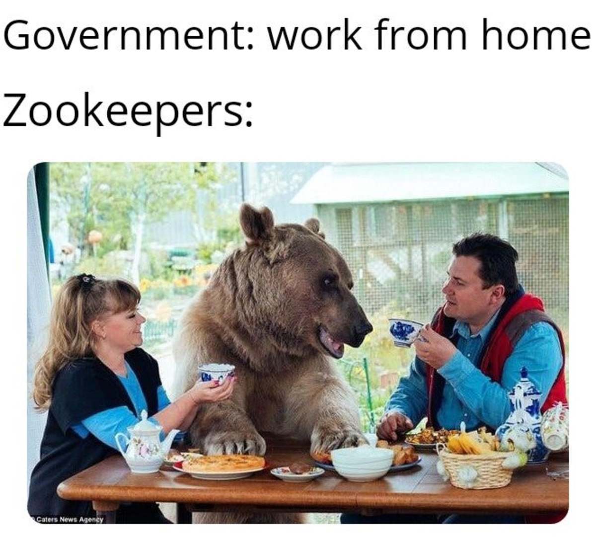 Zookeepers Working from Home