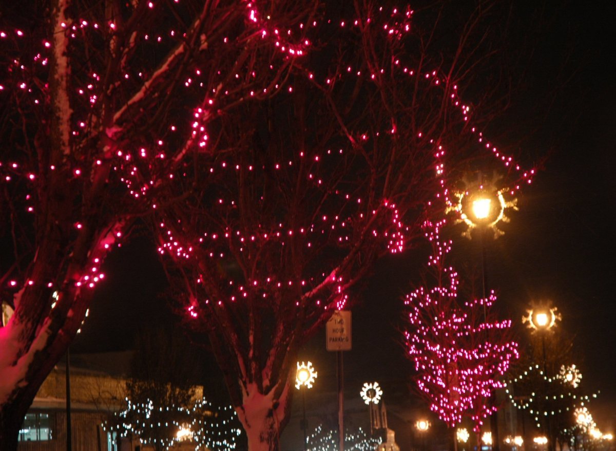 pinkchristmaslights