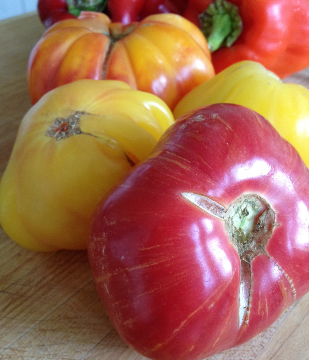 Red, yellow, and orange heirloom tomatoes