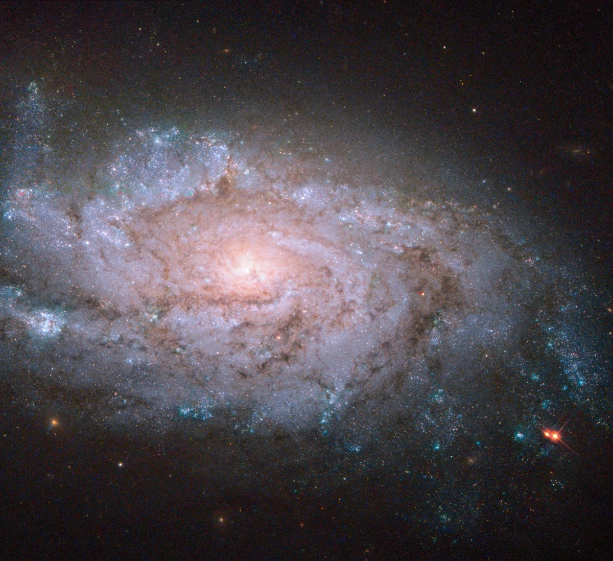 Hubble Space Telescope image of NGC 1084, a spiral galaxy