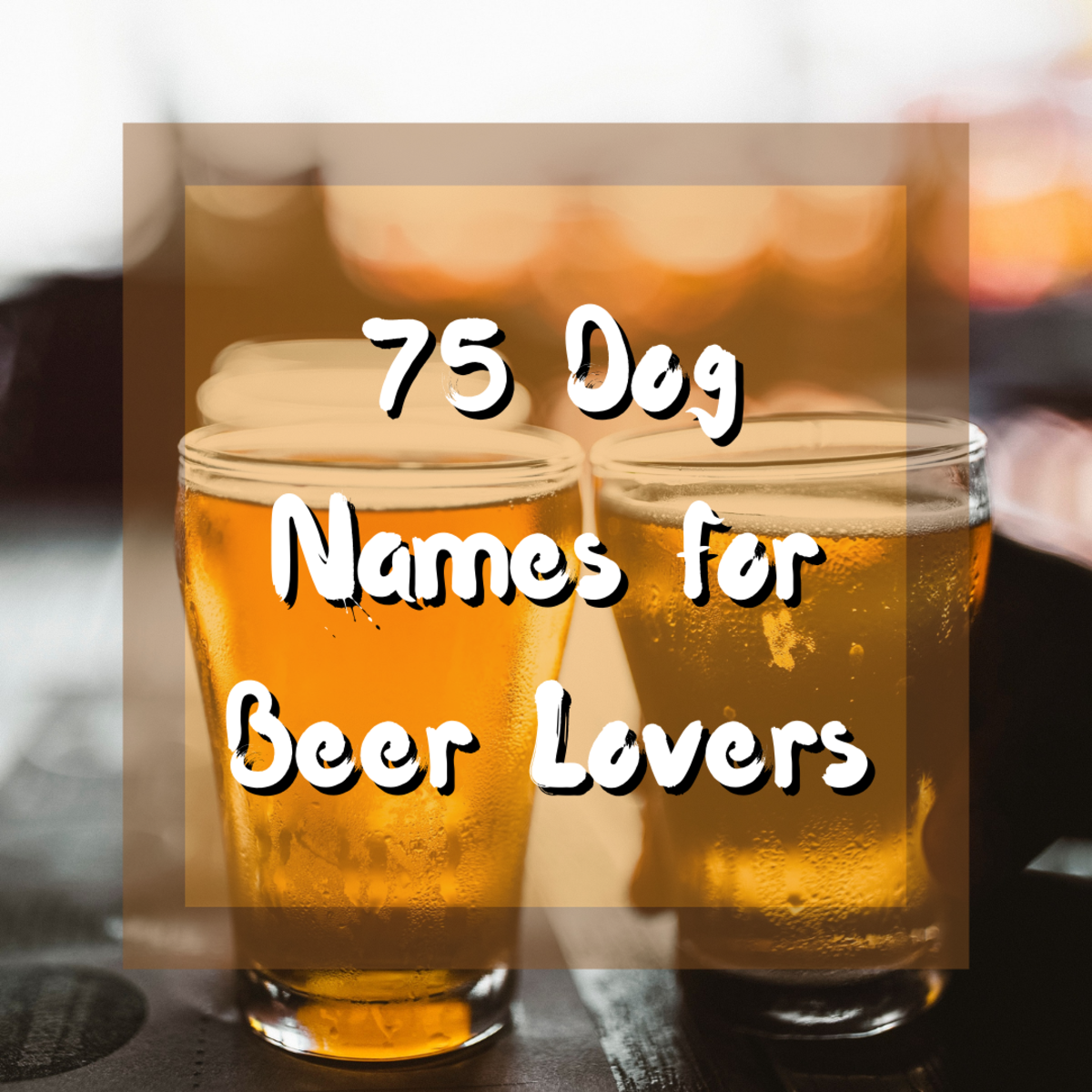 75 Dog Names for Beer Lovers - PetHelpful