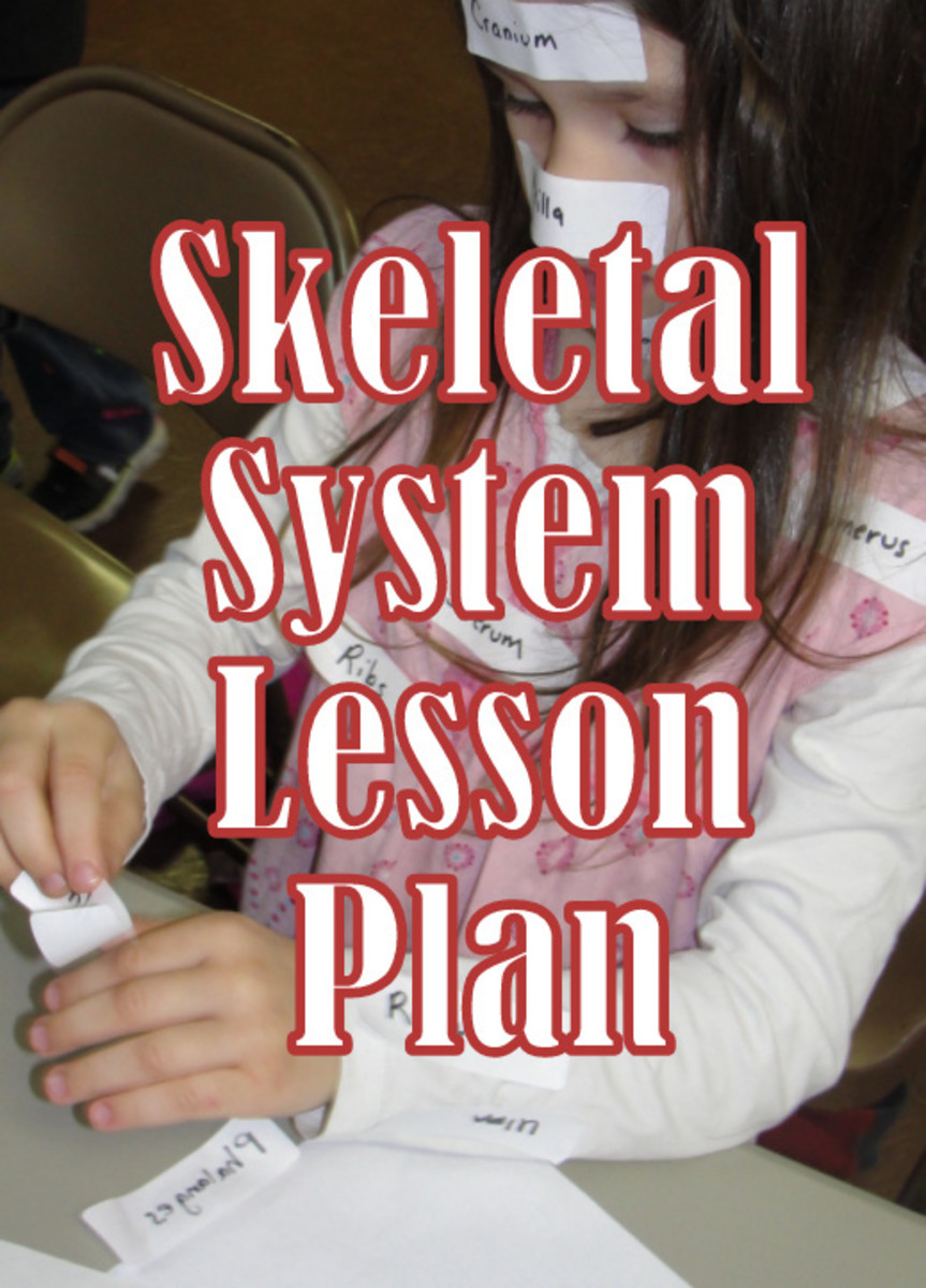 Christian Hands-On STEAM Lesson Plan of the Skeletal System