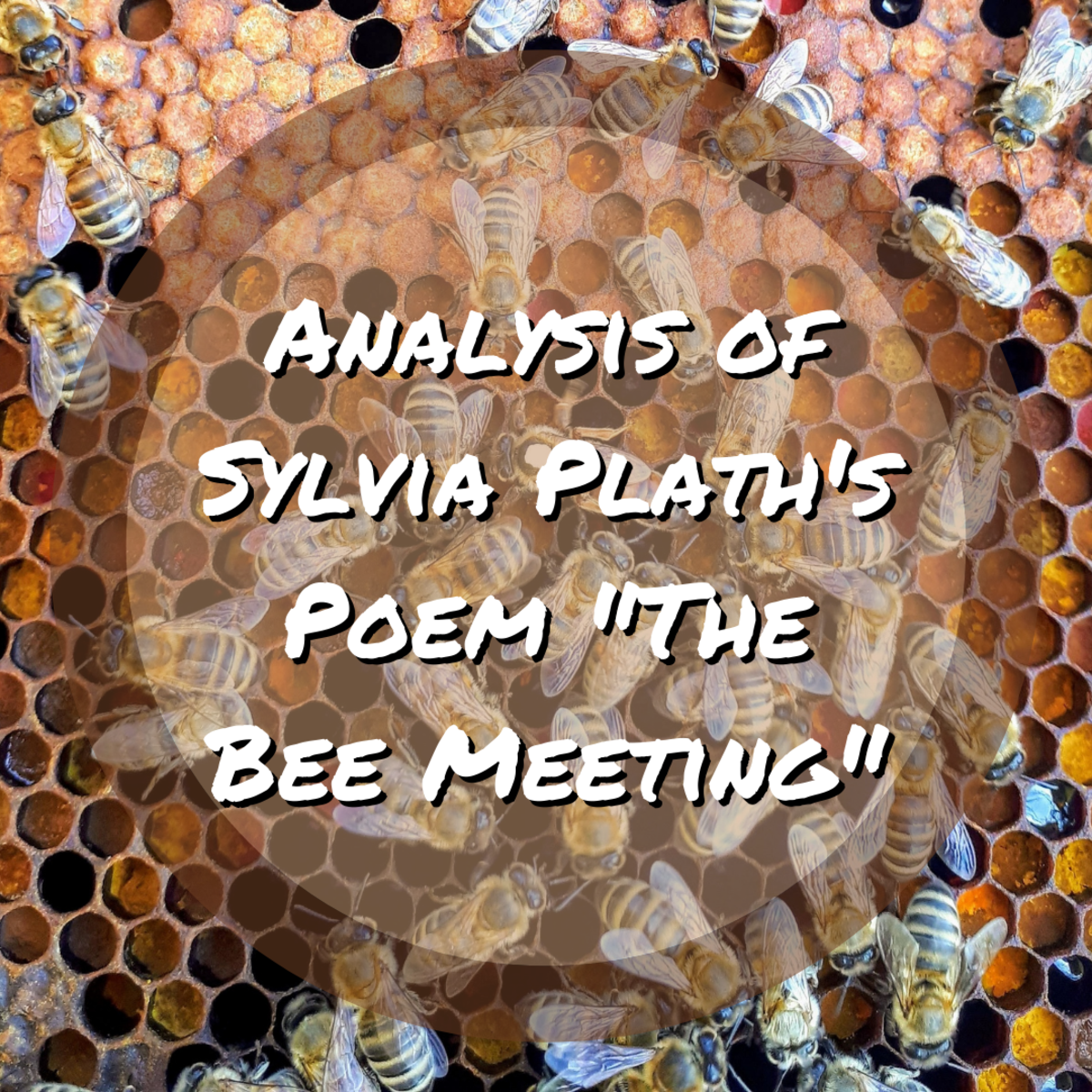 This article provides a summary and analysis of the poem "The Bee Meeting: by Sylvia Plath.