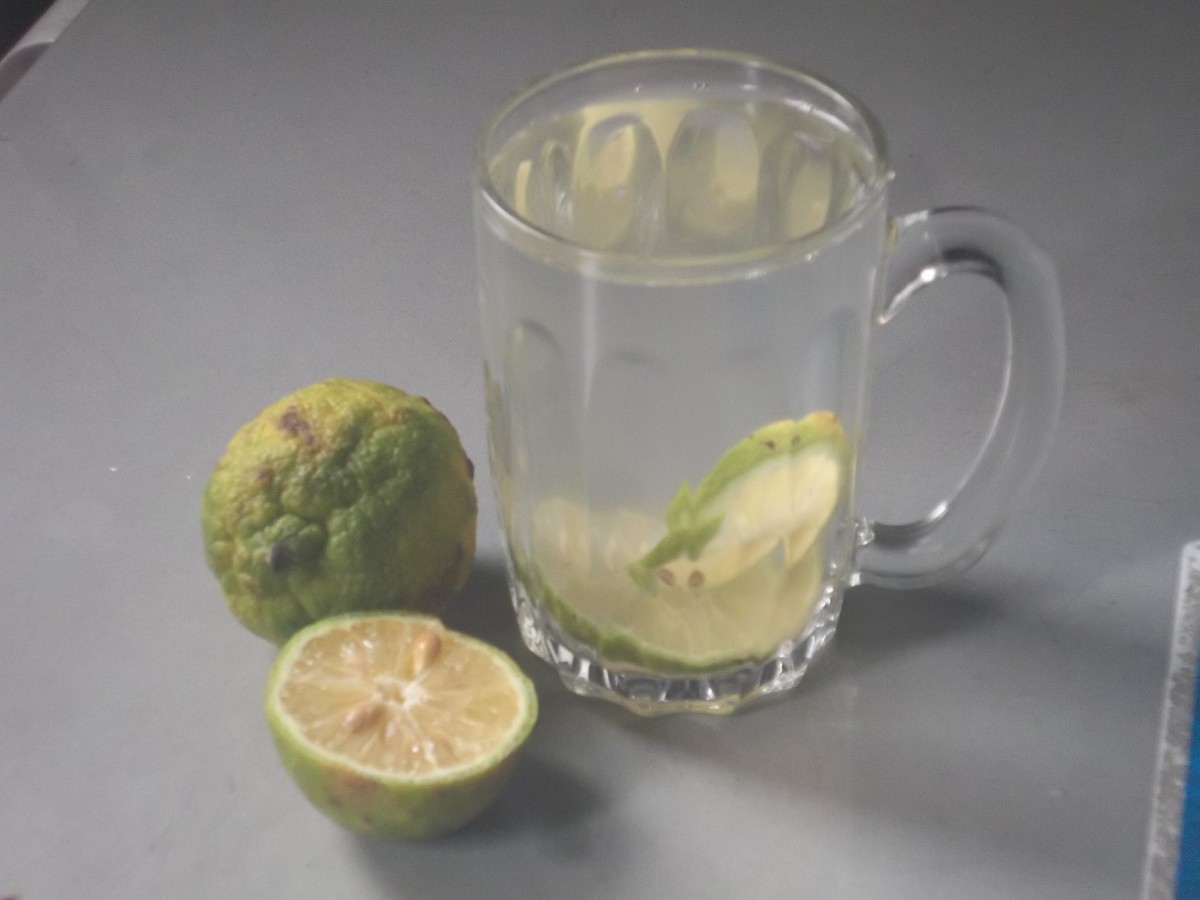 Lemon and Hot Water Therapy for Digestive Disorders and Treatment