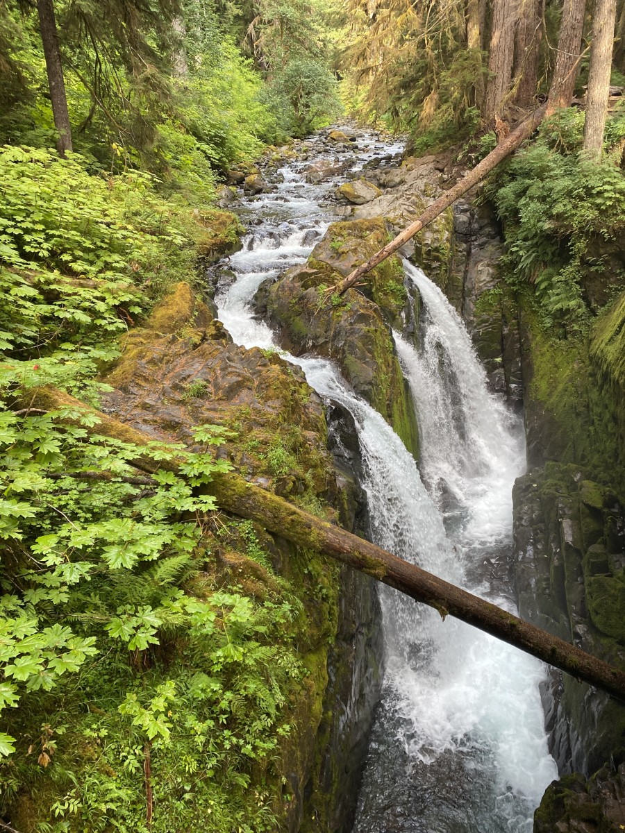 My Summertime Destination: Sol Duc Falls at the Olympic National Park ...