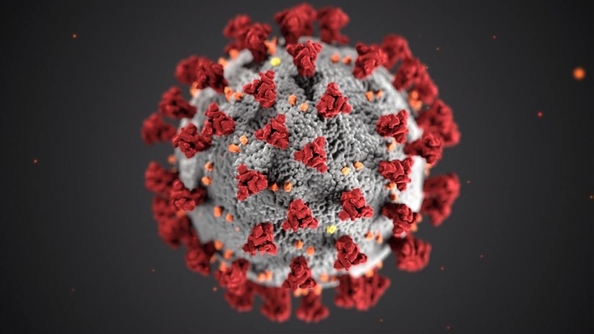 what is coronavirus in world