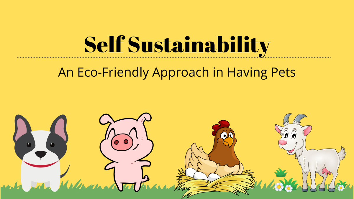 Self Sustainability- An Eco-Friendly Approach in Having Pets