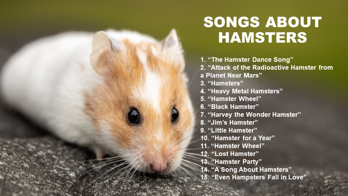 40 Songs About Hamsters Spinditty