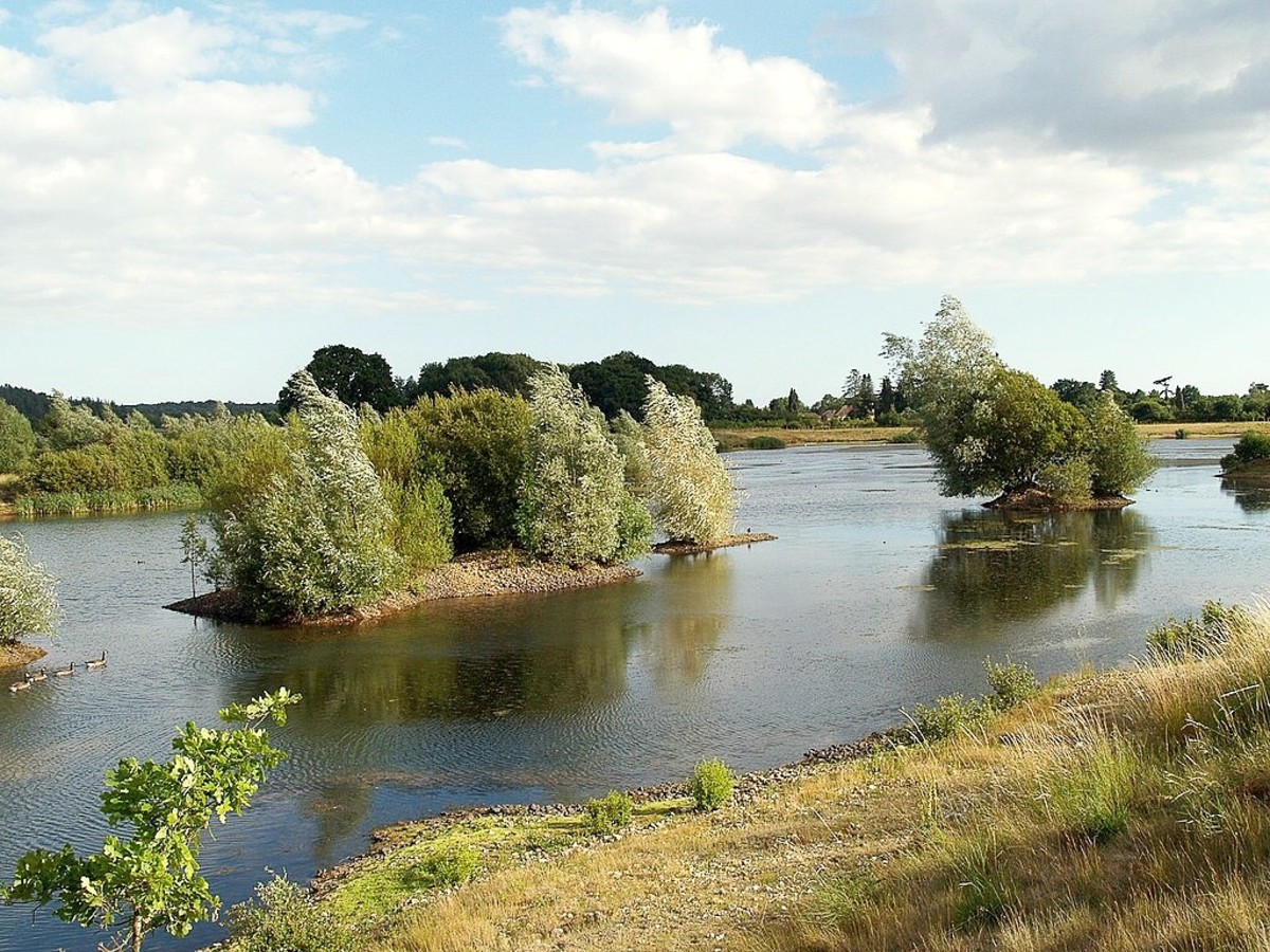 The Psammead in the story lives in a gravel pit. In real life, an old pit is sometimes flooded and converted into a nature reserve, as shown above.