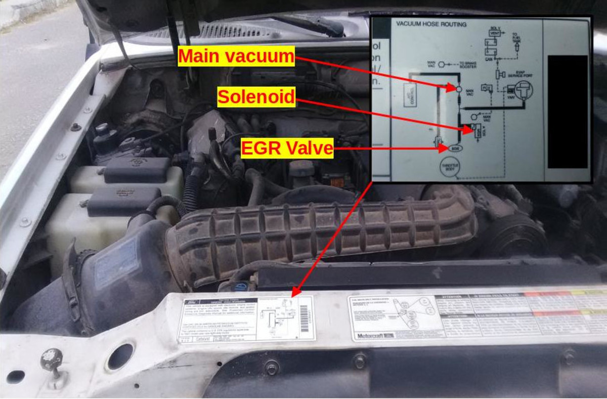 The emissions control decal on your vehicle may help you locate the EGR valve as well.