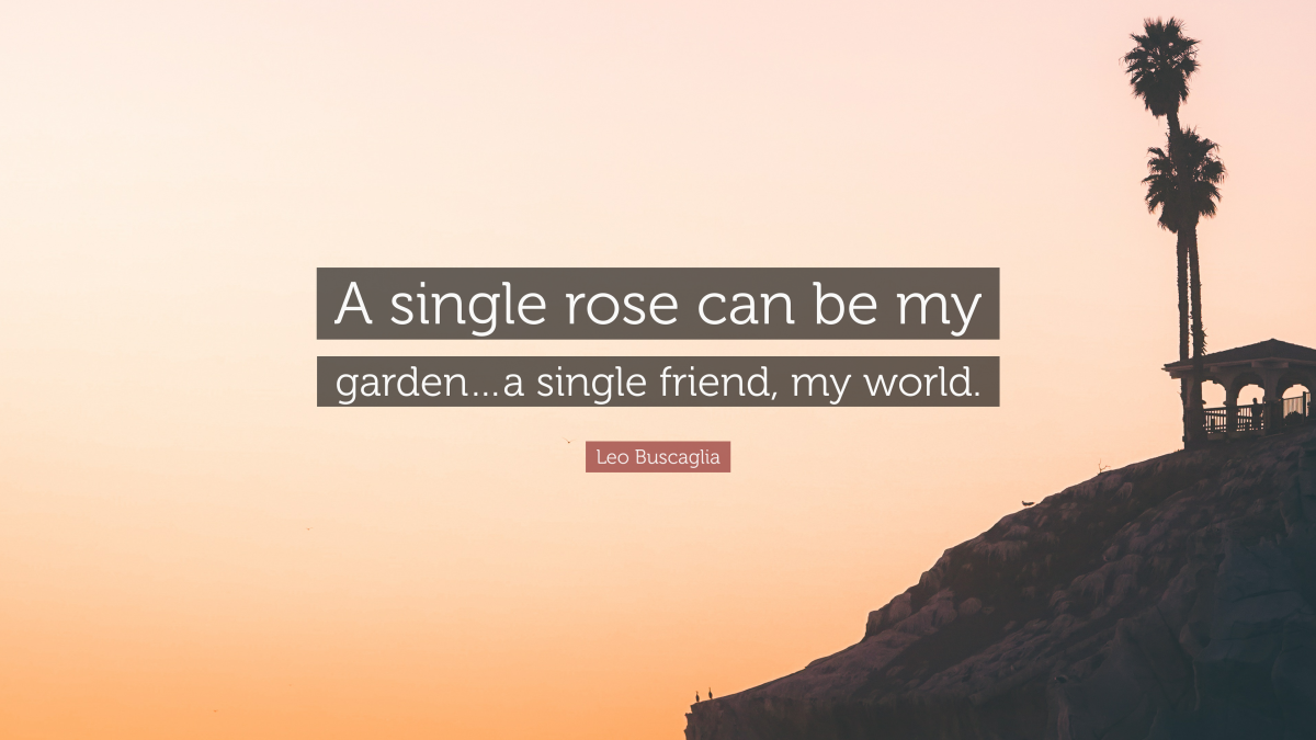 “A single rose can be my garden…a single friend, my world.” — Leo Buscaglia