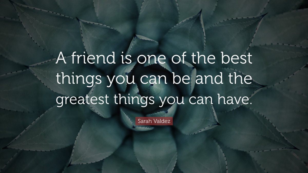 “A friend is one of the best things you can be and the greatest things you can have.” — Sarah Valdez