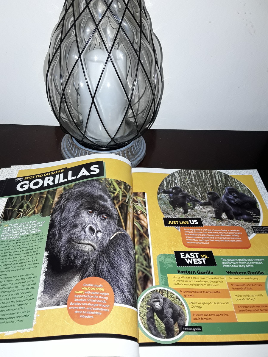 the-animals-of-africa-in-national-geographic-kids-book