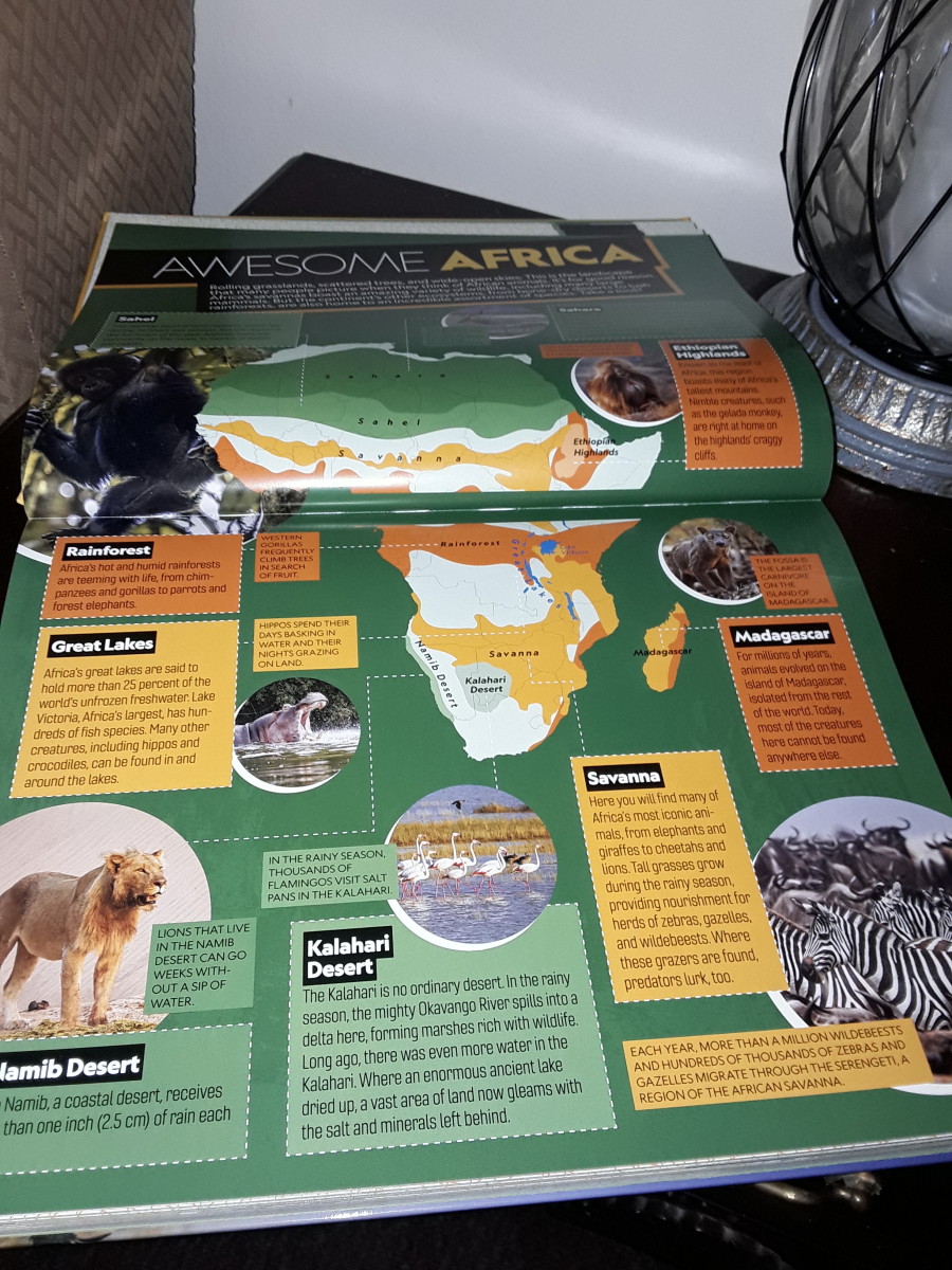 The Animals of Africa in National Geographic Kids Book - HubPages