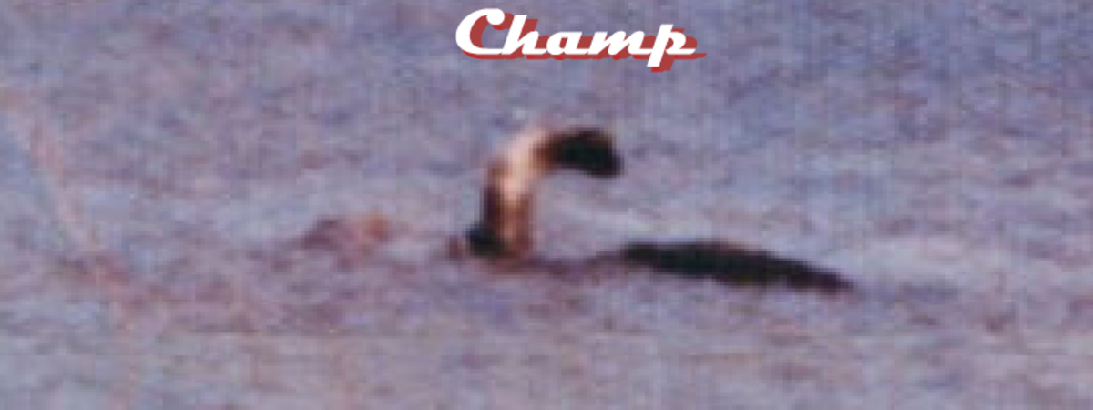 Champ, the New York relative of Lock Ness.