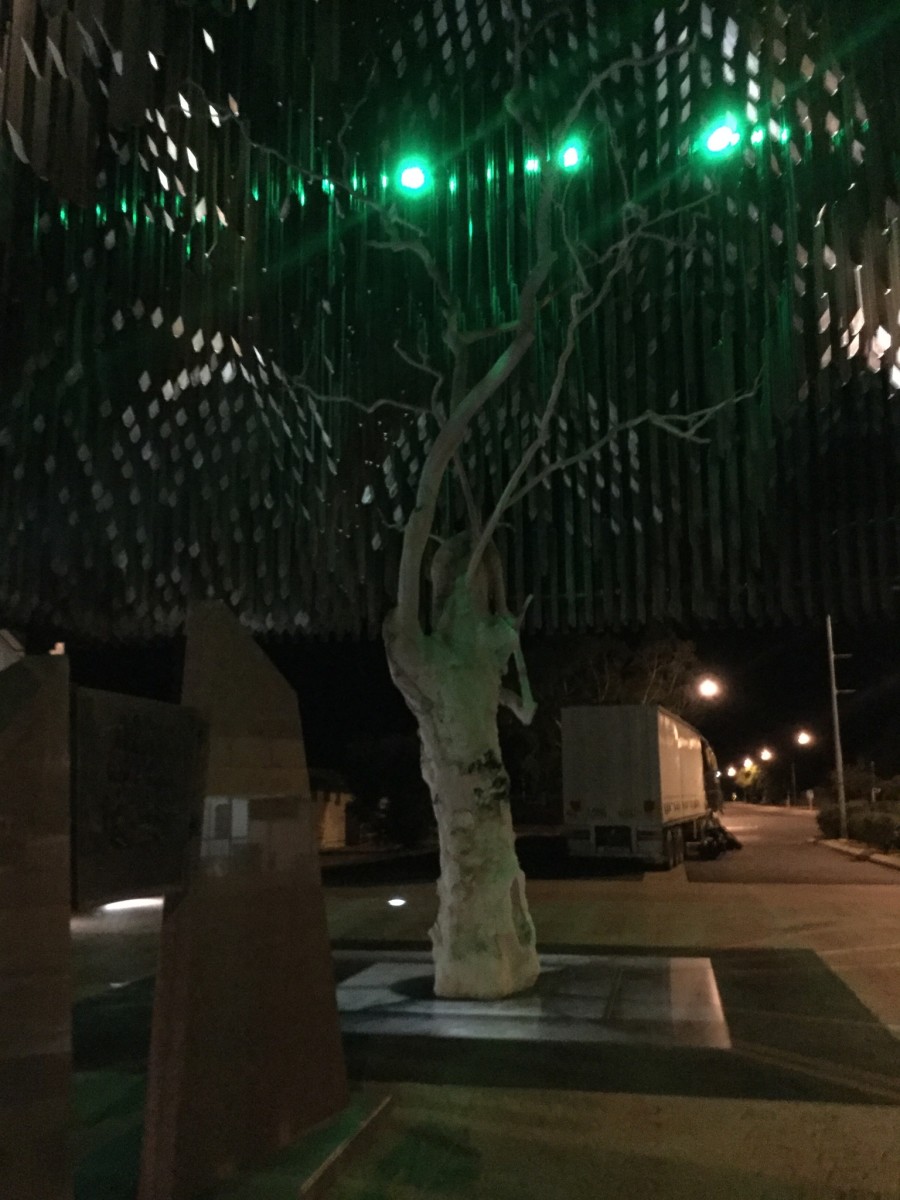 The Tree of Knowledge, Barcaldine, QLD, Australia. Maybe we need to tap into this more often.