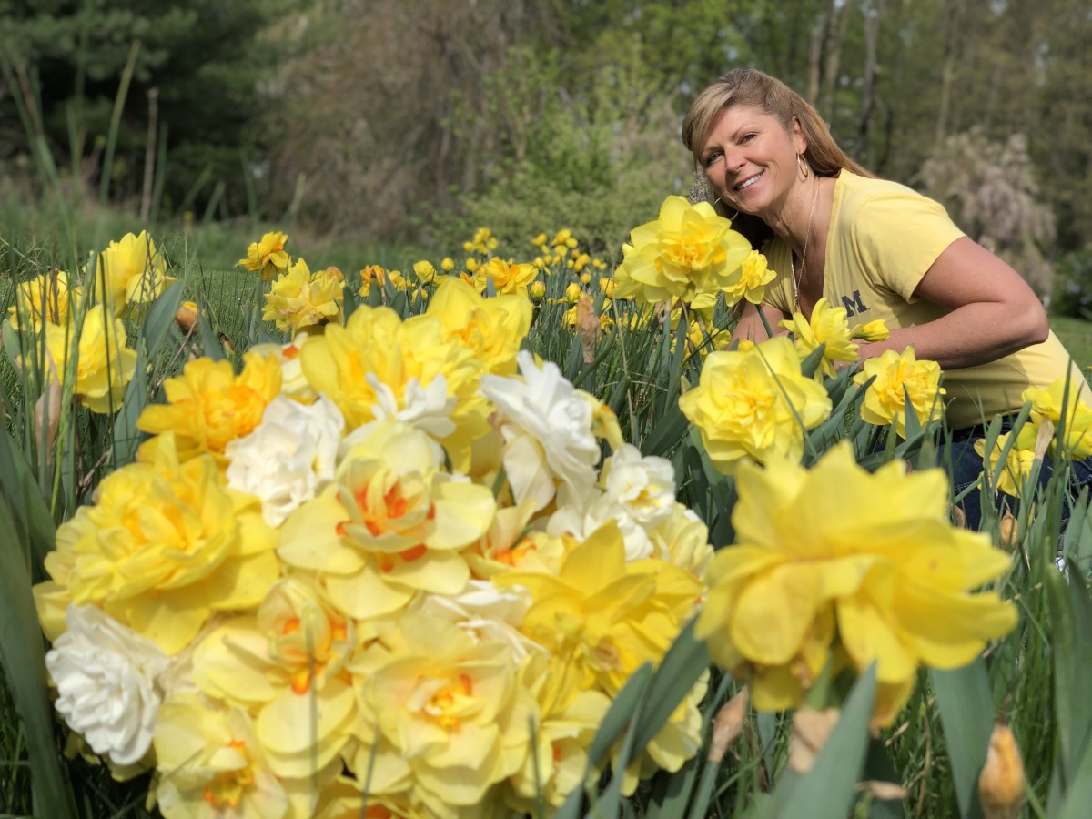 How to Plant Daffodils