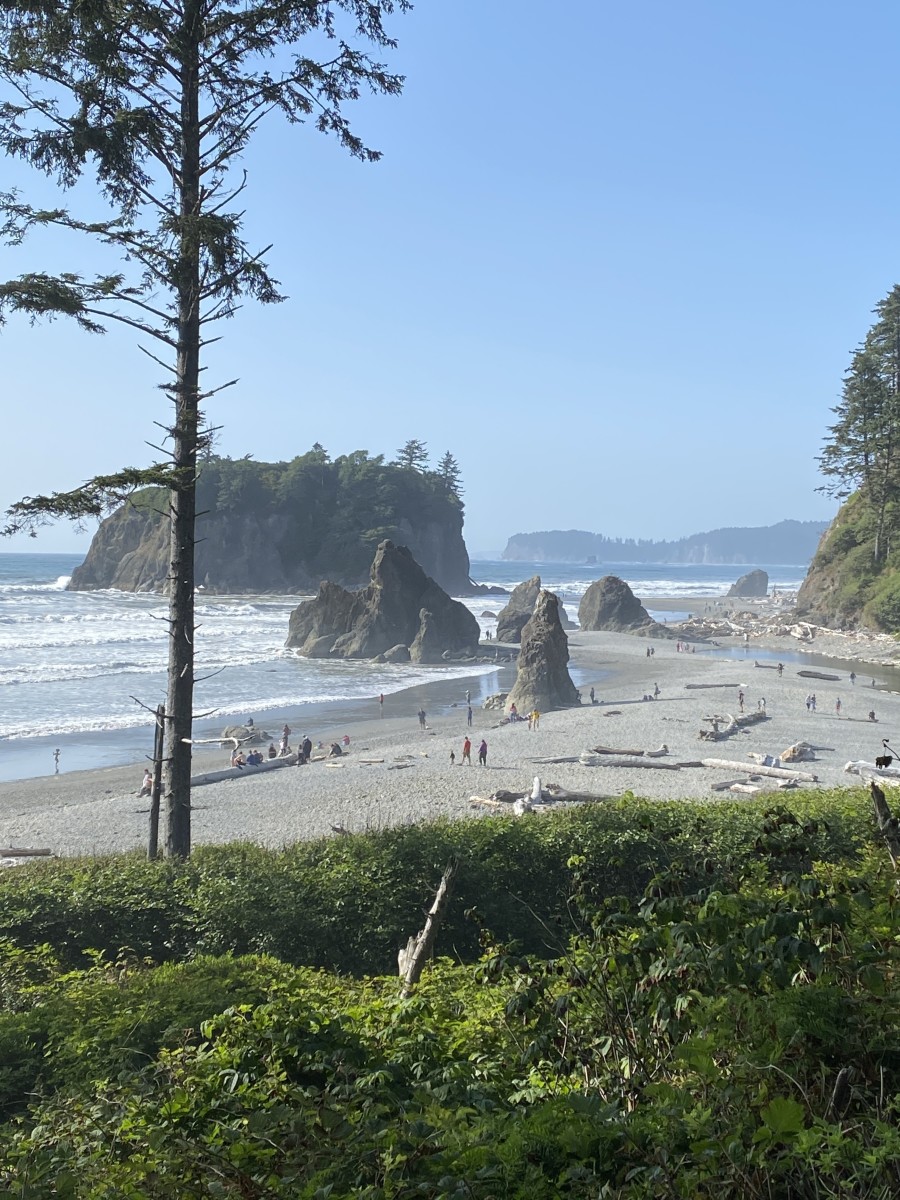View of Ruby Beach from the trailhead