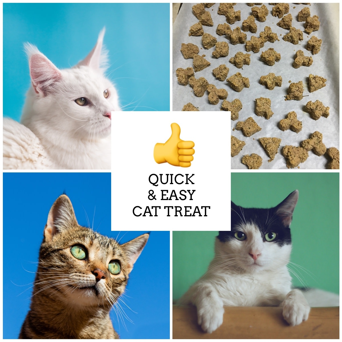 Easy 4-Ingredient Cat Treat