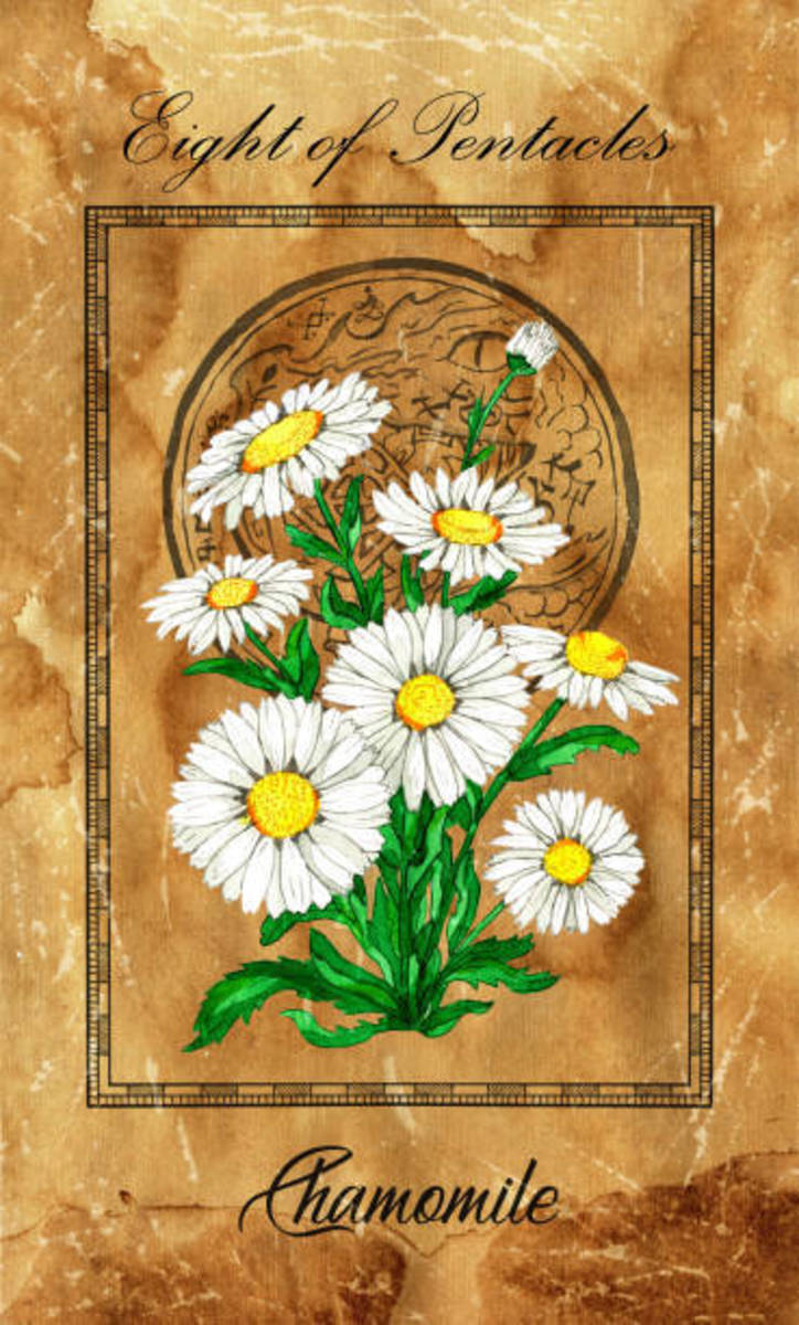 The Eight of Pentacles in Tarot and How to Read It