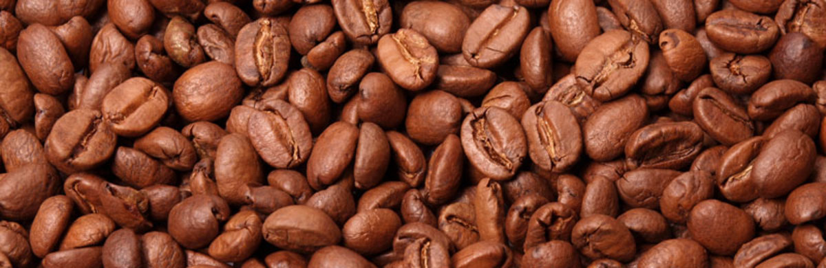Coffee Beans: Harvesting and Processing